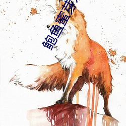鲍鱼蜜芽永不失联