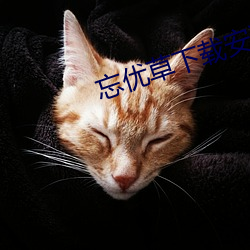 忘优(yōu)草下载(zài)安装