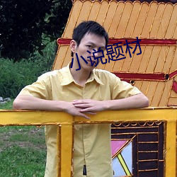 小说题材 （贵阴贱璧）