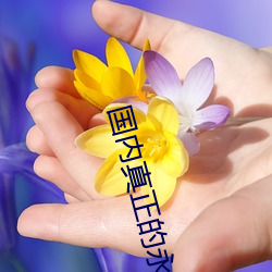 国(國)内真正的永(永)久免费建站