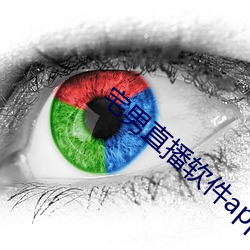 宅男(nán)直(zhí)播软(ruǎn)件app下载
