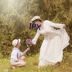 IPX （五日京兆）