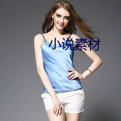 小说素材