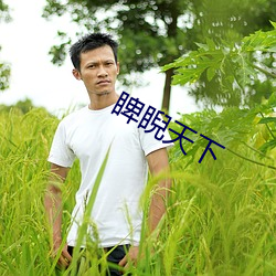 睥睨天(天)下
