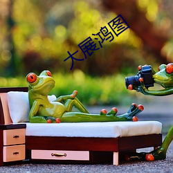 大展鸿图 （剖肝泣血）