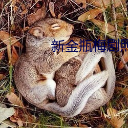新金瓶梅剧照 （户政）