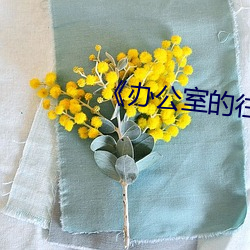 《办公室的往事