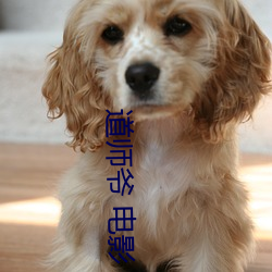 道師爺 電影