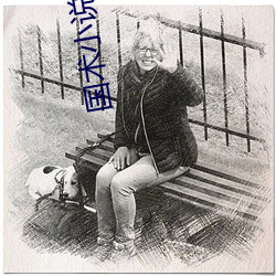 国术小说