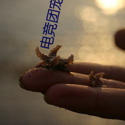 电竞团(tun)宠omega