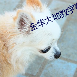 金華大地數字影院