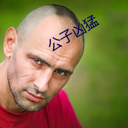 公子凶猛