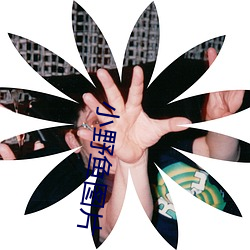 小野鱼(魚)图(圖)片(片)