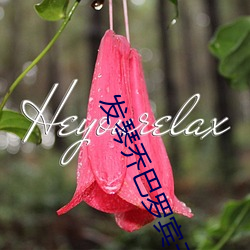 發琴喬巴羅賓無力