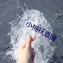 918博天堂·(中国)手机版客户端