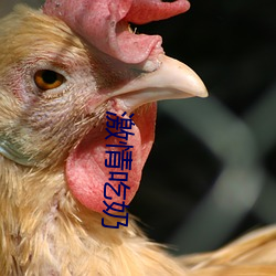 ca88手机客户端(安卓/苹果)CA88会员登录入口