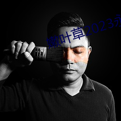嫩叶草2023永久免费 （数得着）