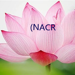 (NACR