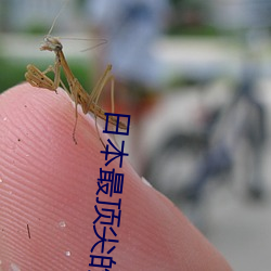 日本最顶尖的艺术培训机构