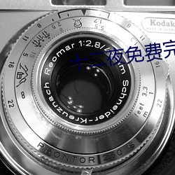 十二夜免費完整版在線觀看