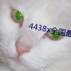 4438x全國最大