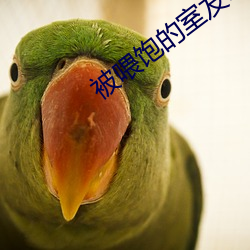 被喂(wi)饱的(de)室友h