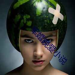 军婚晚爱小说