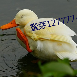 蜜芽127777COON