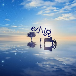 e小说 （公费）