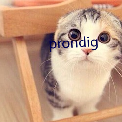 prondig