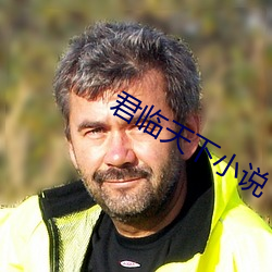君临天下小说