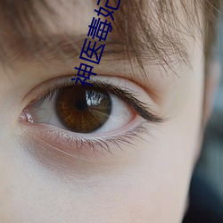 神医(醫)毒妃欠好惹全文(文)免费(費)阅(閱)读
