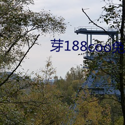 芽188coo免费永不失连片