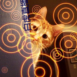白虎直播