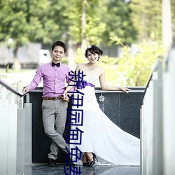 新伊园甸免费入口