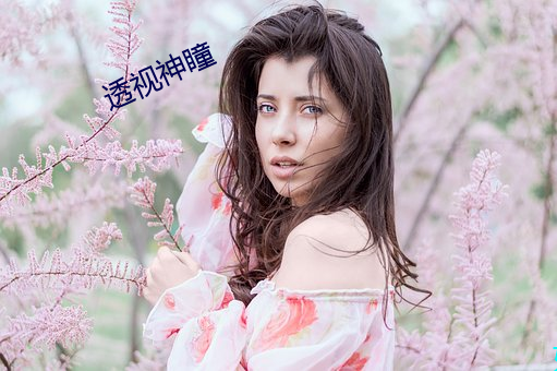 透视神瞳(tóng)