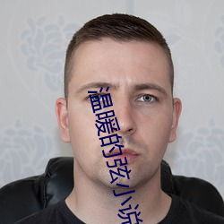 溫暖的弦小說