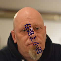 在路上小说 名缰利锁）