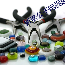 新貴公子電視劇有國話版嗎