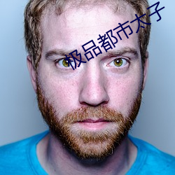 极品都市太子