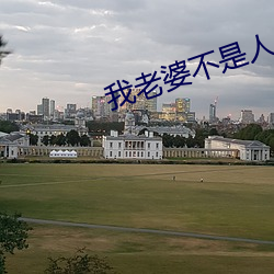 我老(老)婆不是人