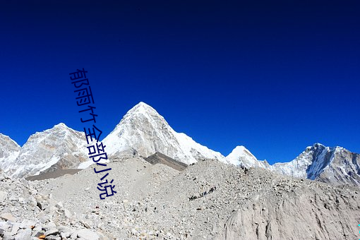 郁雨竹全部小说