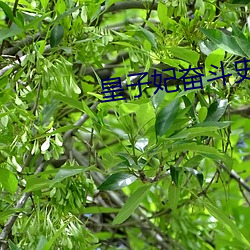 九游会登录j9入口 - 中国官方网站 | 真人游戏第一品牌