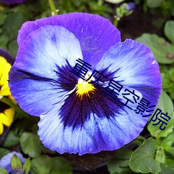重庆星空影院