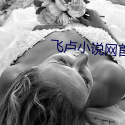 飞卢小说网(網)首页