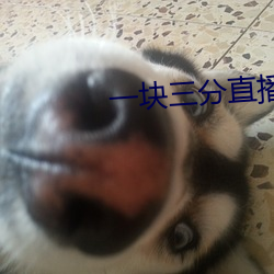一(一)块三分直(直)播(播)app