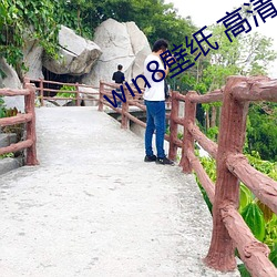 win8壁纸 高清(清) 桌面