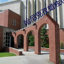 哈(哈)尼(尼)克孜蜡烛双龙(龍)图片