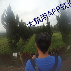 大禁用APP软件免费