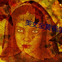 美女全黃視頻